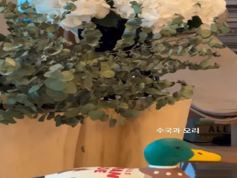 고현정 사과