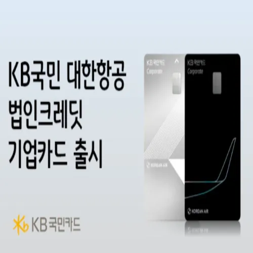 KB국민카드 대한항공 법인크레딧