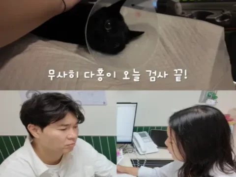 박수홍 다홍이 건강검진