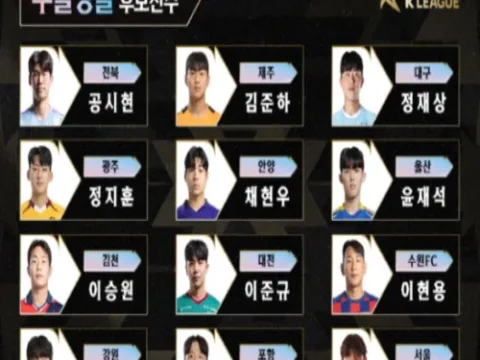 쿠팡플레이 영플레이어