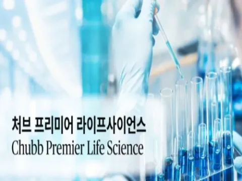 라이나손해보험 맞춤형 보험