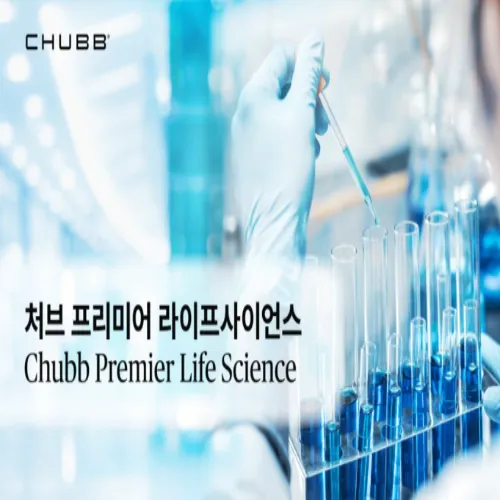 라이나손해보험 맞춤형 보험