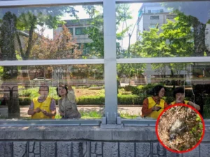 금천구, 조류 충돌 방지 스티커로 생물다양성 보전 나서