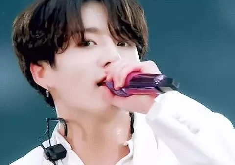 BTS 멤버 정국 의 자택에 침입을 시도한 중국인 현행범으로 체포되었다