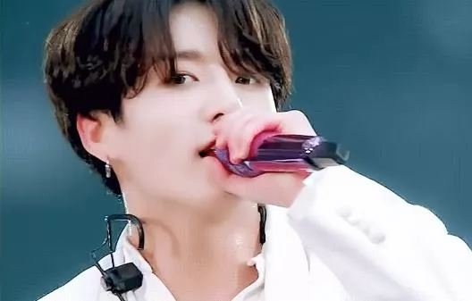 BTS 멤버 정국의 자택에 침입을 시도한 중국인 현행범으로 체포되었다