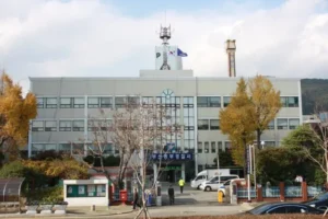 부산 동구 도로에 누워있던 50대 남성 차량에 치여 숨져