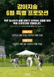 강아지숲, 6월 특별 프로모션 진행…온라인 예매 최대 25% 할인