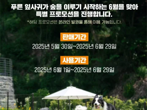 강아지숲이 6월 말까지 사전 예약 고객에게 최대 25% 할인 혜택을 제공한다.