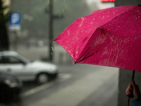 전국에 비가 내리며 더운 날씨 가 이어졌다. 17일 낮 기온 30도 안팎으로 올라 소나기가 예상된다.