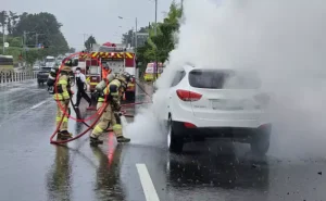 제주 차량 화재 막은 카페 직원들…“영웅 같은 시민들”