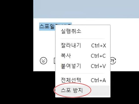 카카오가 스포일러 방지를 위한 메시지 숨김 기능을 도입해 사용자 편의성을 높였다.