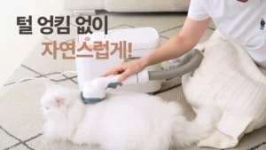 아이클레보, 애견호텔에 펫케어 로봇청소기 ‘펫버틀러’ 협찬