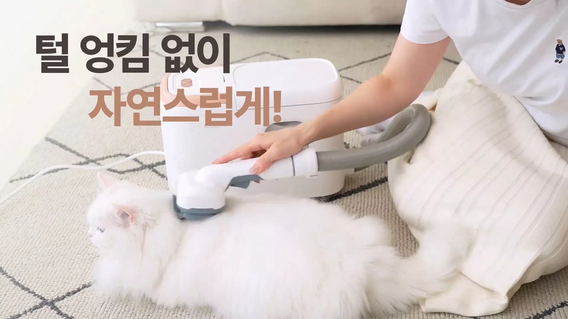 아이클레보가 애견호텔에 펫버틀러를 협찬하며 반려동물 청결 관리에 기여했다.