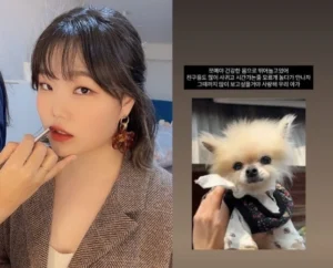 악뮤 이수현, 반려견 쪼매와의 이별…“그때까지 많이 보고 싶을 거야”