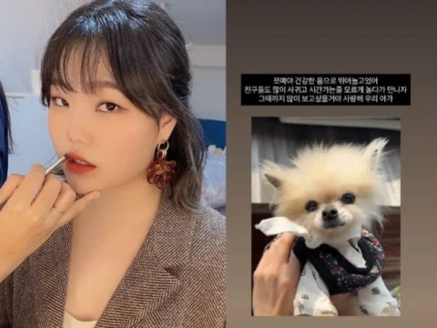 악뮤 이수현