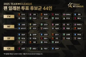 ‘팬이 뽑는다’ 팀 K리그 팬 일레븐 후보 44명 공개…뉴캐슬과 맞붙을 스타는 누구?
