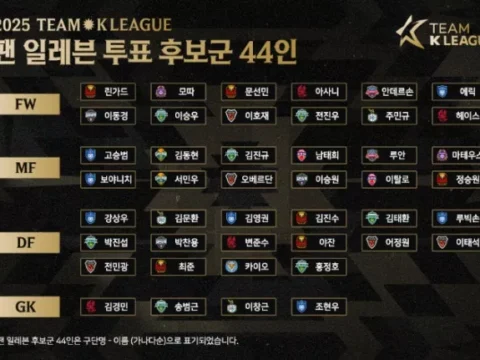 팀K리그 팬 일레븐 후보군 44인