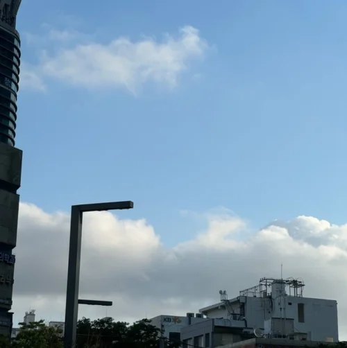 소나기