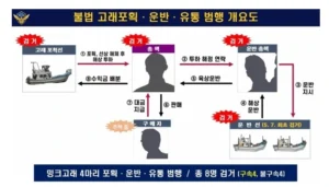 밍크고래 불법포획 조직 덜미…포항해경, 운반선·포획선 적발