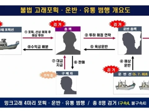 밍크고래