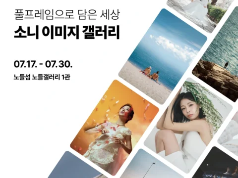 소니코리아