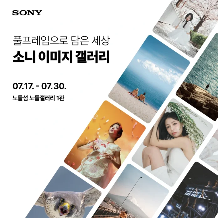 소니코리아