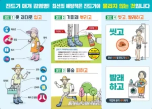 전남서 올해 첫 진드기 감염병 사망자 발생…임산물 채취하던 80대 숨져