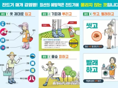 진드기