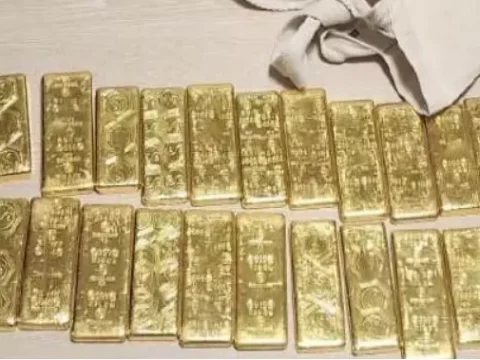 횡령