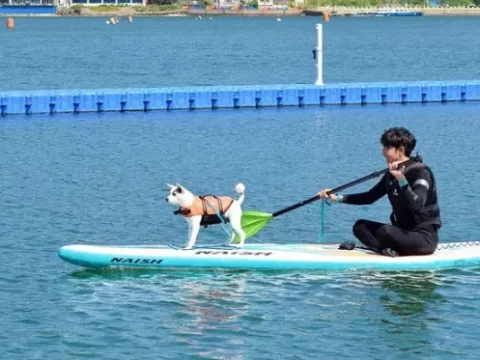 경남 해수욕장