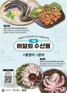 대표적 여름 보약 붕장어·문어, 7월 이달의 수산물 선정