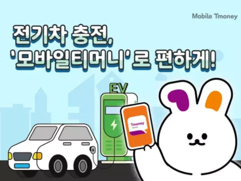 티머니