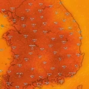 온열질환 사망자 65%가 60대 이상…논밭·산 등 외부 활동 주의