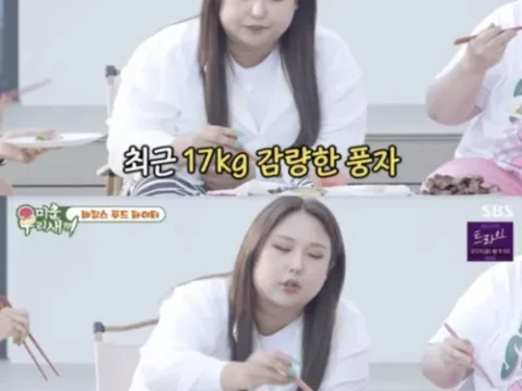 풍자 다이어트