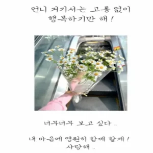 배우 강서하, 암 투병 끝 별세…향년 31세