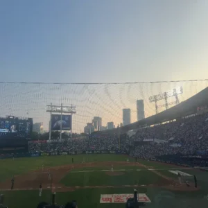 잠실야구장 개장 42주년, 한국 야구의 심장부