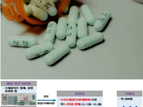 의사 처방 없이 스테로이드 와 전문의약품을 판매한 업자가 식약처에 적발돼 검찰에 송치됐다.