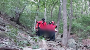 폭염 속 등산하던 50대·40대 남성 연이어 숨져… 온열질환 추정