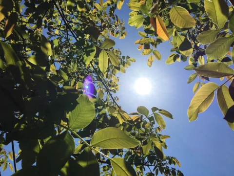 전국에 폭염과 열대야가 이어져 건강 관리에 각별한 주의가 요구된다.